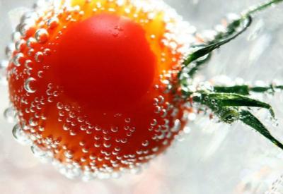 Yeşil Devrim sürecinde domates, domates olmaktan çıktı