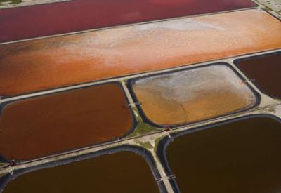 İngiltere’den GDO’lu yardım paketi!