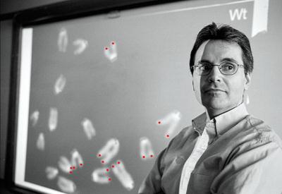 DNA tersine çevirdi ya sonra