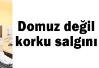 Domuz değil, korku salgını