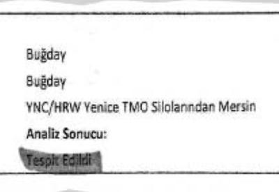 TMO'nun depoları GDO'lu buğday doluymuş