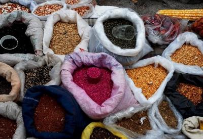 D-8 tohum bankası kuruyor. Peki bu yeterli mi?