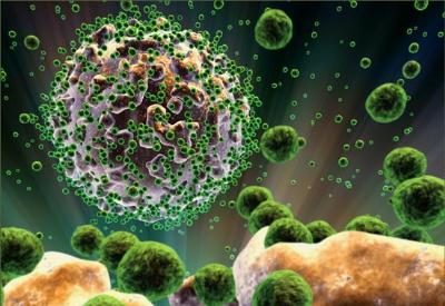 AIDS virüsü, Müslümanlara neden bulaşmaz