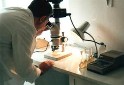 Genetikçilerin ürküten deneyleri!