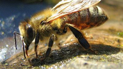 Kanser sizi yakalamadan siz, onu yakalayın