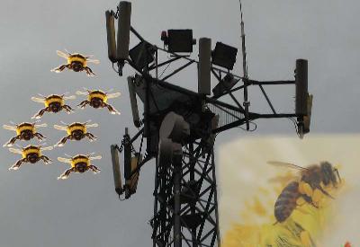 Ölüm istasyonları