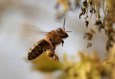 Türkiye zenginliklerine sahip çıkmıyor