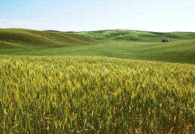 Küresel dev şirketlerin gözü büyük tarım arazilerinde