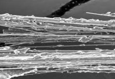 Kanser maddesi 'israf olmasın' dediler