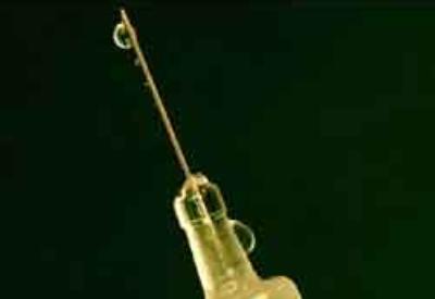 Kuş gribi aşısı evsizleri öldürüyor