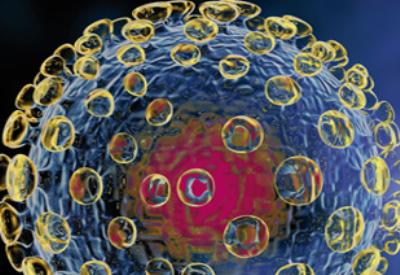 Nereden çıktı domuzun gribi?