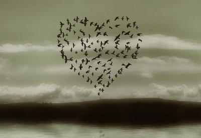 Gerçek aşk, kalbe iyi geliyor...