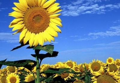 Bilmediğini bilmediğinden bu hale düştü insan