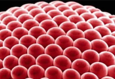 Bu kuruyemişlere dikkat!