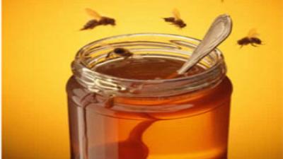 Deli bal, hem ilaç, hem zehir