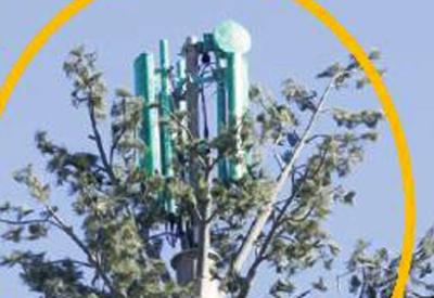 Yargı; 'Baz istasyonu insan sağlığı için zararlı, kaldırılsın'