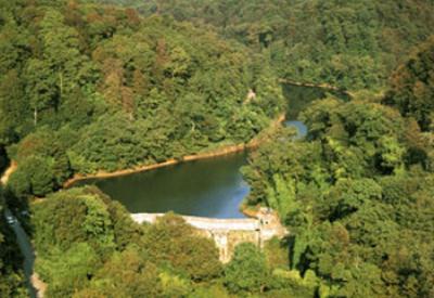 Belediye Belgrad Ormanı’nı yağmalıyor