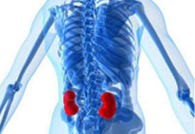 Böbrek hastalığından korunma yolları