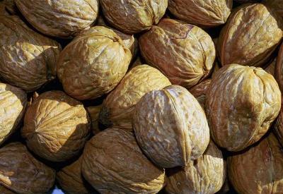 Ceviz yiyin sağlıklı olun