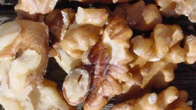 Ceviz yiyin kanserden korunun