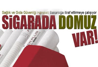 Sağlık Bakanlığı sigaracıları neden koruyor?