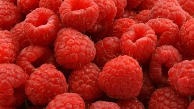 Acı patlıcanı kırağı çaldı