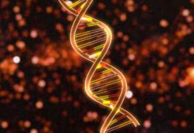 DNA hakkında bildiklerinizi unutun. Çünkü yanlışmış...