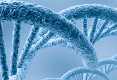 Dişi farede, erkeklik özelikleri bulundu