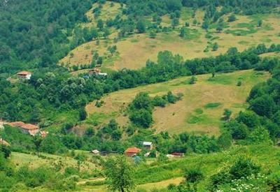 'GDO'suz pikniğe' davetlisiniz