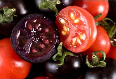 Bir ülkenin GDO'yu ret hakkı bile yokmuş