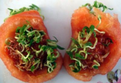 GDO'ya karşı yüzbinlerce imza...