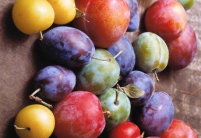 Erik B vitamini deposu