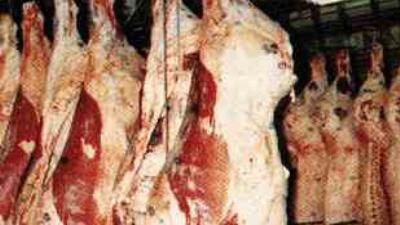 Domuz çiftliği kapanma kararına rağmen kapatılamıyor