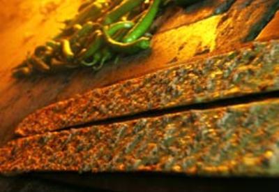 Tohumunuzu ve yörenizin ürünlerini tescil ettirin