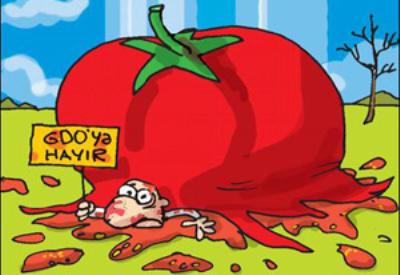 Kısırlığı hangi meyve önler?