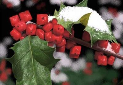 Arjantin: 'GDO denilen felaket'