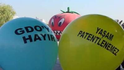 'Yeşil devrim' adlı renkli bela