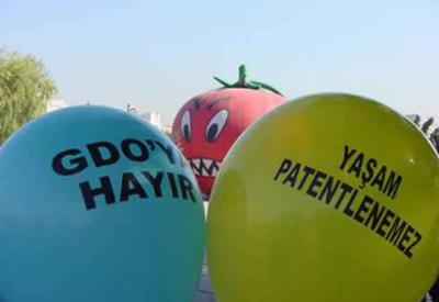 TBMM, ABD'nin ikna odalarında oyalanırken İskoçya'dan 'HAYIR'