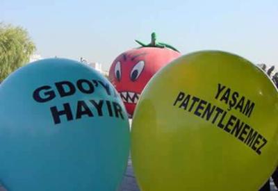 Toz duman arasında GDO yönetmeliği