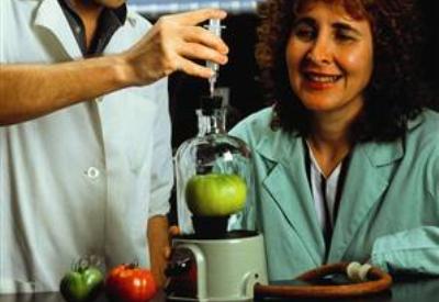 GDO’lu ürünler domuz gribi aşısı taşıyacak