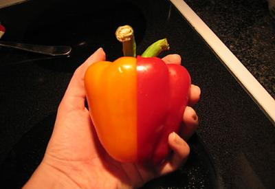 Ankara'dan GDO'ya Yeşil Işık