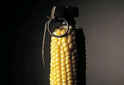 Milletvekilinden Tarım Bakanı'na GDO sorusu