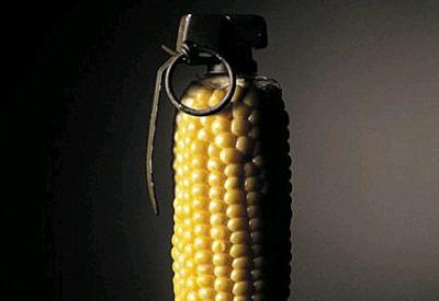 Ankara köleliği resmileştirdi