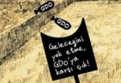 Danıştay GDO'lu ürünlerin önünü açtı