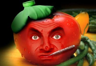 Bilgi Üniversitesi öğrencilerinden GDO karşıtı bildiri