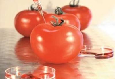 Türkiye ile İsrail arasında domates takası