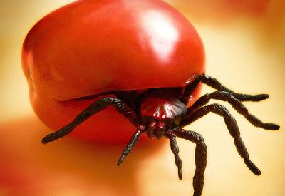 Bu belgesel ortalığı karıştırdı