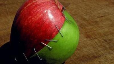 Patentlerin insafına terk edilen yaşam