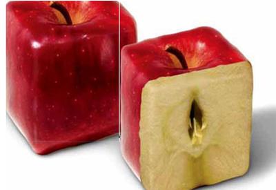 GDO belâsının geldiği nokta