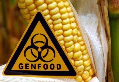 GDO Yönetmeliği'ne herkes tepkili